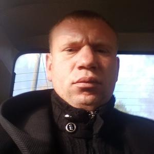 Анатолий, 34 года, Тула