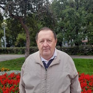 Сергей, 69 лет, Челябинск