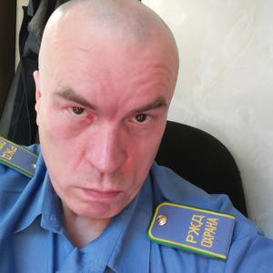 Ильфан, 59 лет, Павловский Посад
