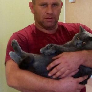 Алексей, 42 года, Тотьма
