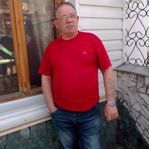 Александр Федосеев, 67 лет, Бийск
