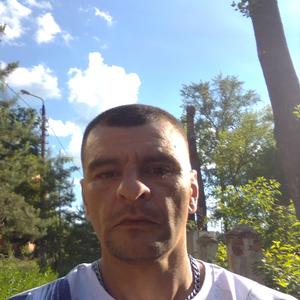 Сергей, 44 года, Щекино