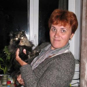 Елена Севальскова, 54 года, Армавир