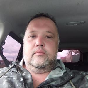 Парни в Ульяновске: Андрей, 45 - ищет девушку из Ульяновска