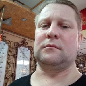 Василий, 41 год, Витебск