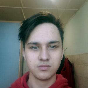 Кирилл, 22 года, Тамбов