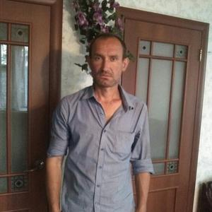 Владимир, 44 года, Белгород