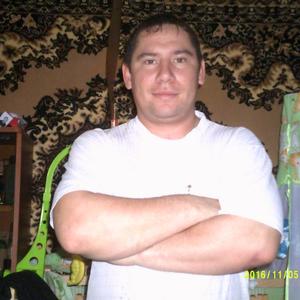 Павел, 36 лет, Богородск