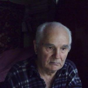 Владимир, 87 лет, Ульяновск