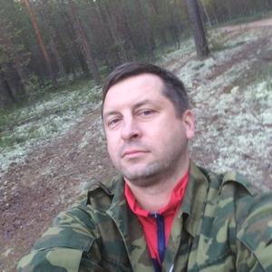 Владимир, 51 год, Вельск