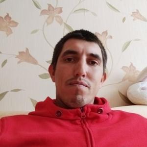 Денис, 36 лет, Калининград