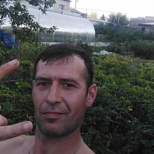 Андрей Степурин, 44 года, Горный Щит