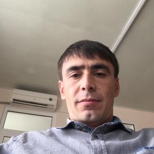Дима, 40 лет, Сургут