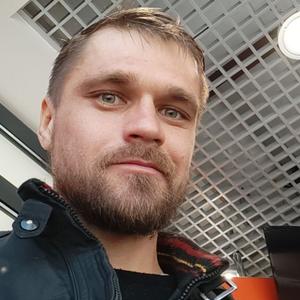 Zitz, 36 лет, Димитровград