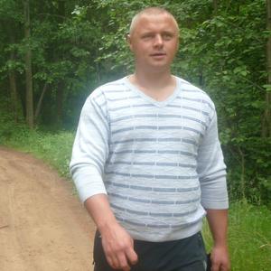 Дмитрий, 43 года, Боровичи
