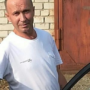 Андрей Жесть, 49 лет, Архангельск
