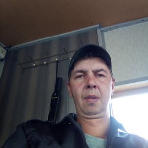 Дмитрий Алтунин, 48 лет, Кемерово