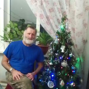 Николай, 74 года, Александровское