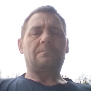 Гри, 54 года, Новоуральск