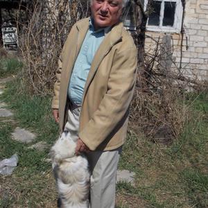 Геннадий, 75 лет, Волгоград