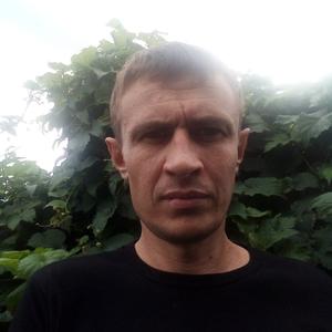 Андрей, 40 лет, Куровское