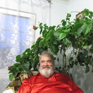 Виктор, 70 лет, Коркино