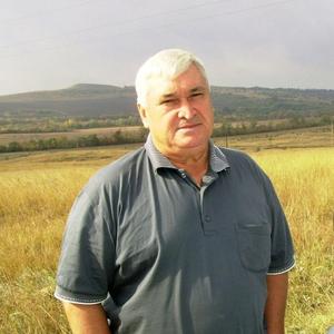 Александр Павленко, 70 лет, Минеральные Воды