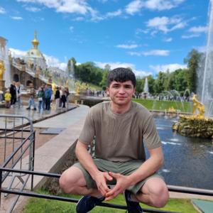 Акбар, 24 года, Москва