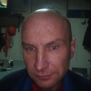 Дмитрий, 48 лет, Болохово