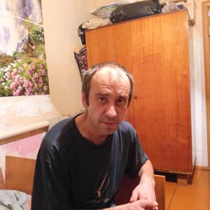 Валентин, 43 года, Шелаболиха