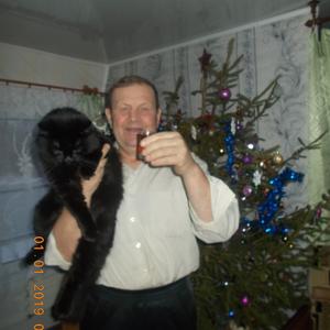 Сергей, 62 года, Боровичи