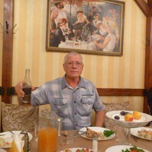 Петр, 67 лет, Томск