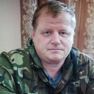 Владимир, 62 года, Толька
