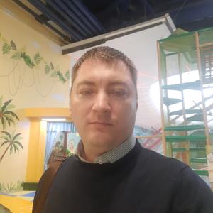 Дима, 41 год, Курск