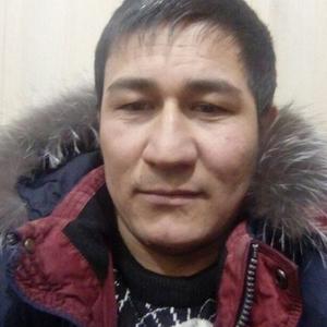 Жамшид, 37 лет, Томск
