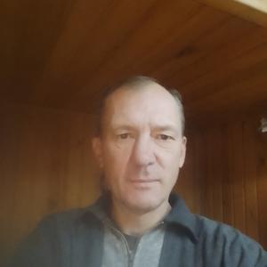 Алексей, 48 лет, Кольчугино