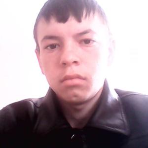 Дамир, 27 лет, Троицк