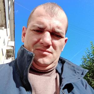 Андрей, 39 лет, Железногорск
