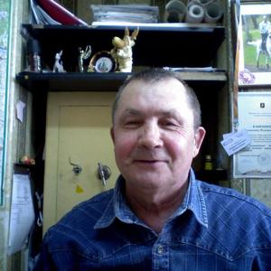 Ванюшин Вениамин, 74 года, Чебоксары