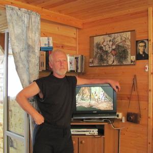 Евгений Никитин, 74 года, Москва