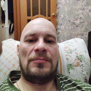 Андрей, 41 год, Казань