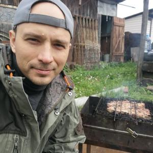Кот Любознательный, 37 лет, Донецк
