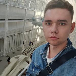 Даниил, 26 лет, Архангельск