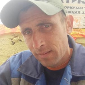 Владимир, 38 лет, Тюмень