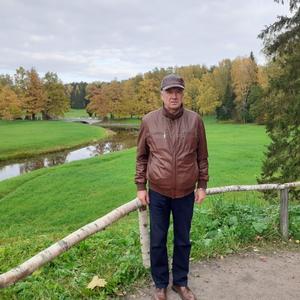 Анатолий Бурлин, 70 лет, Александровская