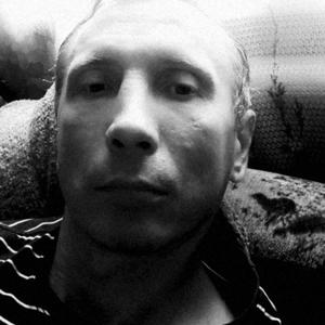 Андрей, 41 год, Боринское