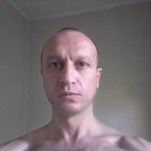 Илья, 44 года, Щелково