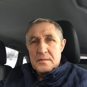Николай Афанасьев, 67 лет, Ульяновск