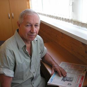 Геннадий, 86 лет, Саров