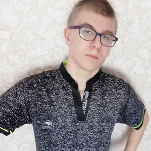 Александр, 23 года, Архангельск
